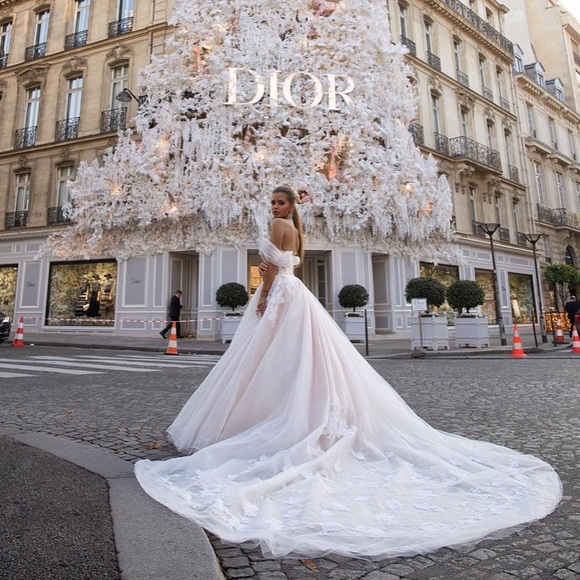 Dior Canvas Wedding Dress / Protective Suit Cover - Picture 9 of 11